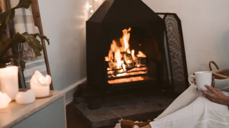 Pourquoi choisir le poêle à bois ?